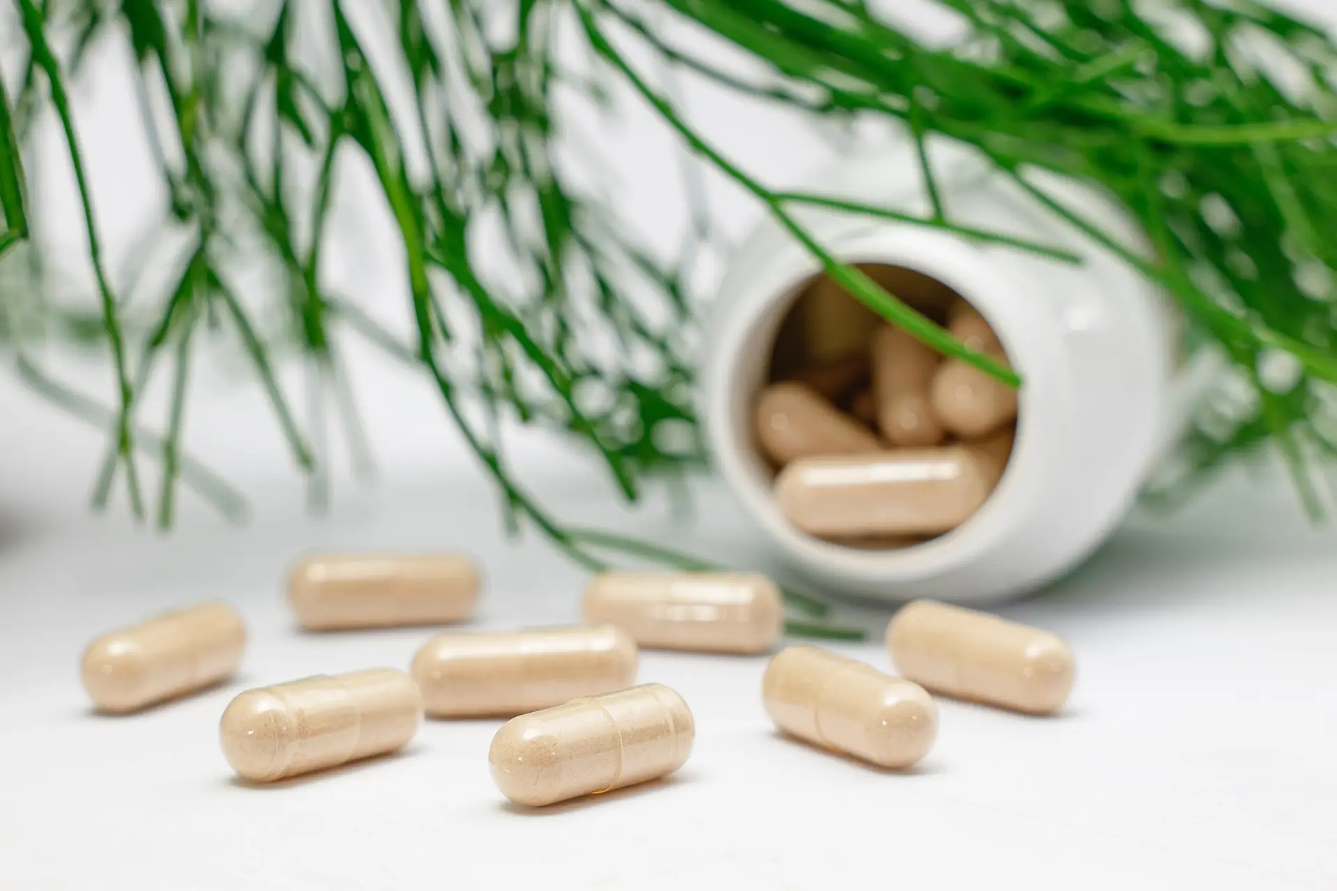 Capsules Supplement